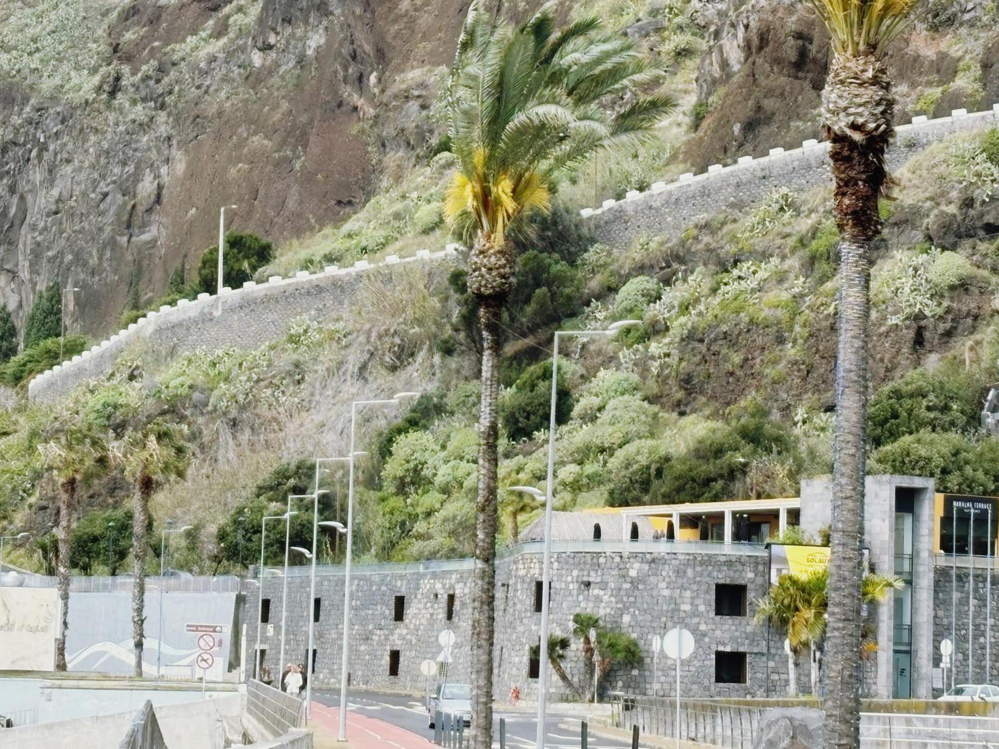 Alc Ribeira Brava